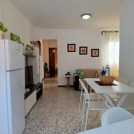 Fleitas Penthouse With Terrace Διαμέρισμα San Andrés